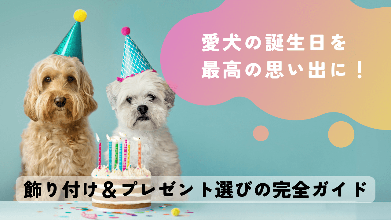 愛犬の誕生日を最高の思い出に！飾り付け＆プレゼント選びの完全ガイド