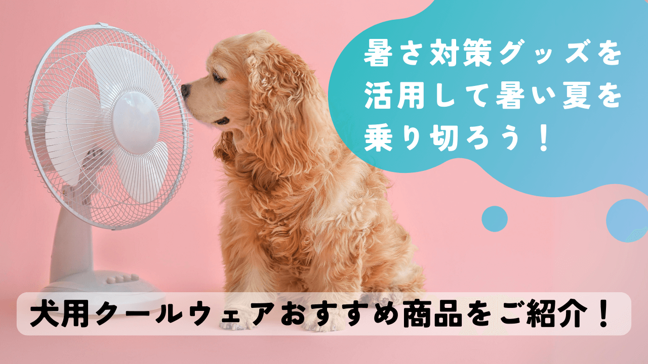 犬用クールウェアおすすめ商品をご紹介！暑さ対策グッズを活用して暑い夏を乗り切ろう！