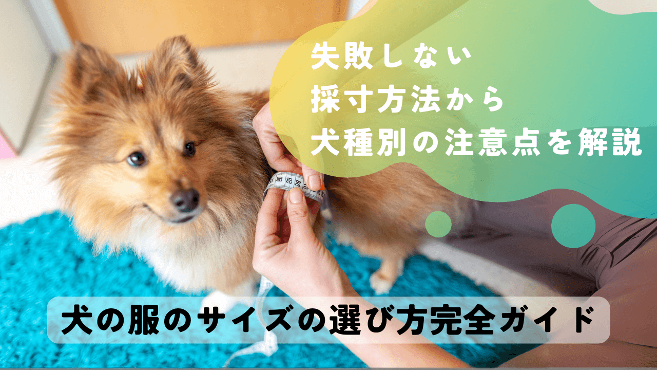 犬の服のサイズの選び方完全ガイド！失敗しない採寸方法から犬種別の注意点を解説